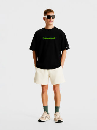 Grphx Kawasaki Zx-6R